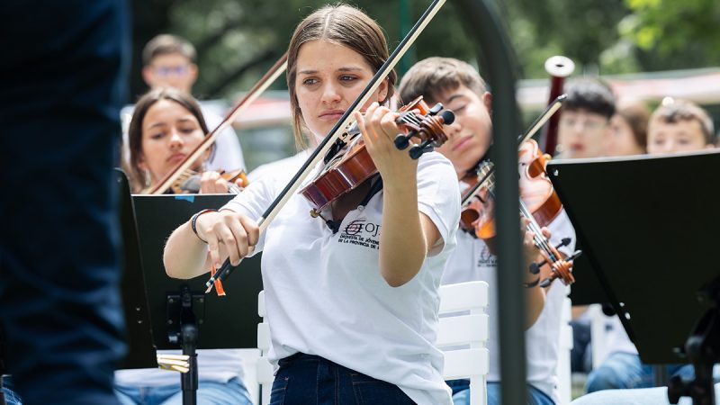 Violas