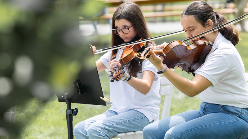 Violín