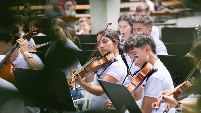 Violas