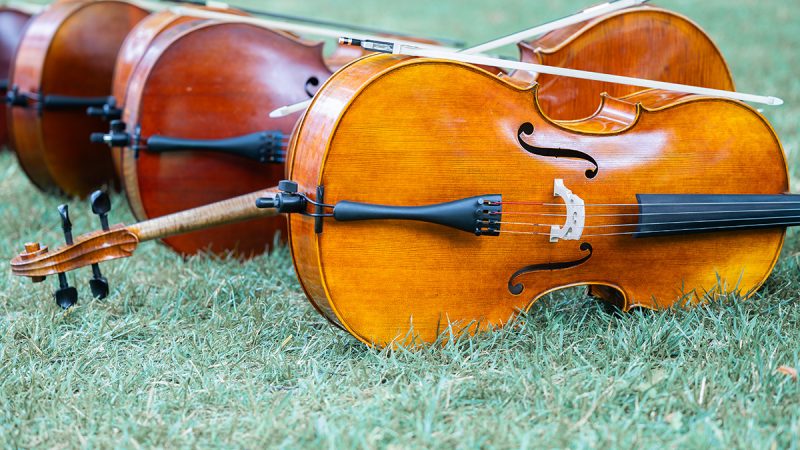 Violines