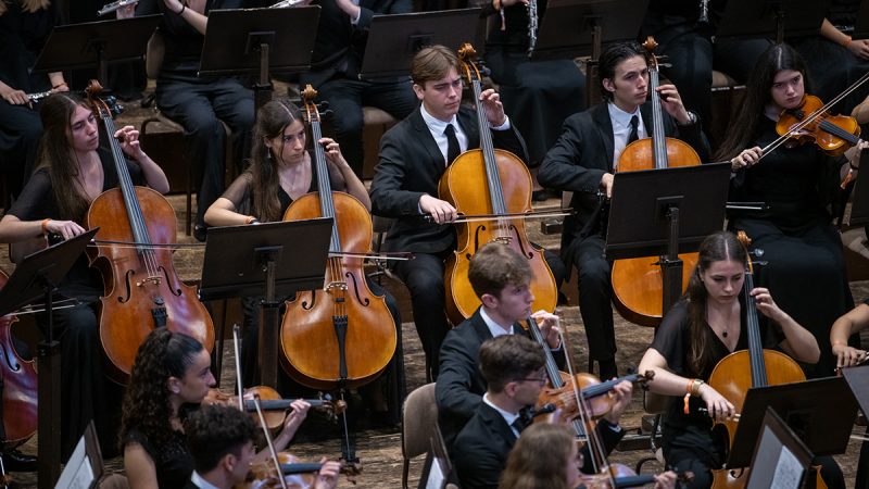 Violonchelos