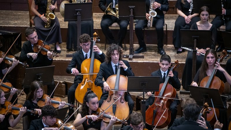 Violonchelos