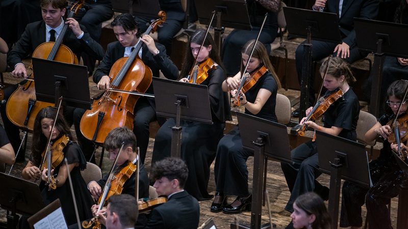 Violas