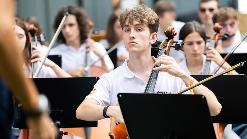 Violonchelos