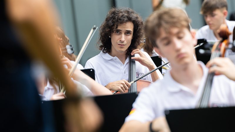Violonchelo