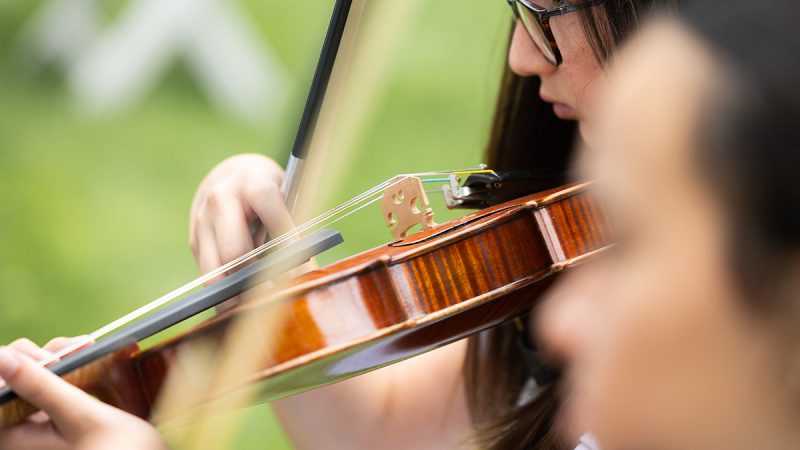 Violín